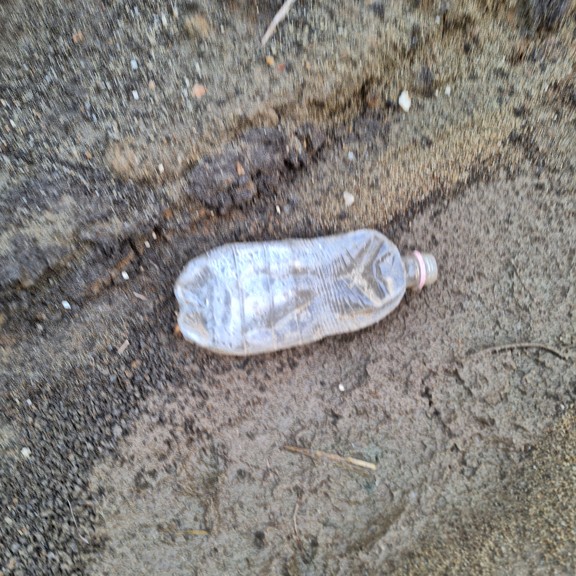 recycle4.me: original_20230807_203227.jpg