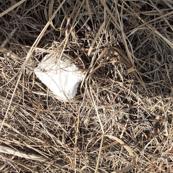 recycle4.me: original_20230704_163324.jpg