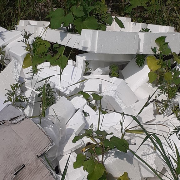 recycle4.me: original_20230704_162416.jpg
