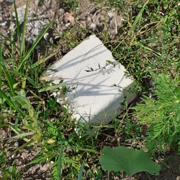 recycle4.me: original_20230704_162409.jpg