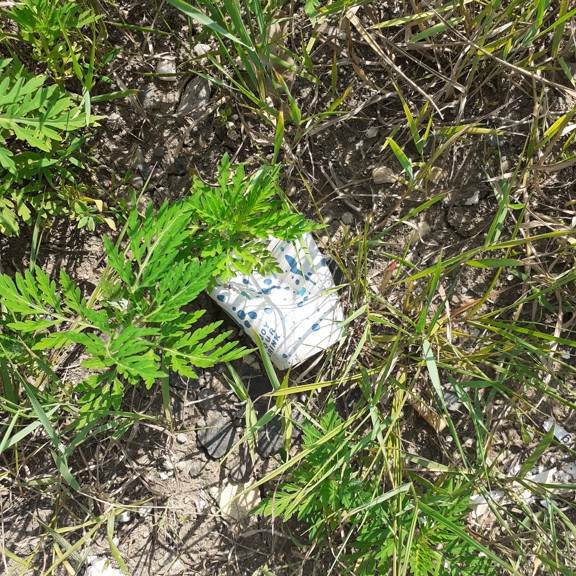 recycle4.me: original_20230704_162449.jpg
