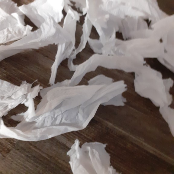 recycle4.me: original_20230616_213210.jpg