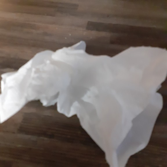 recycle4.me: original_20230616_212926.jpg