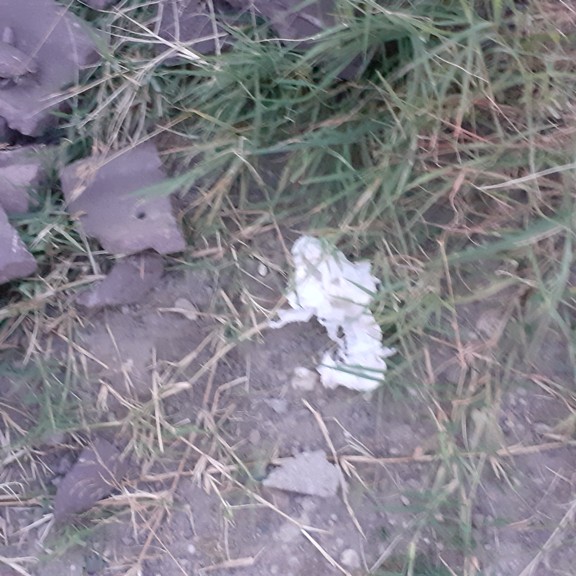 recycle4.me: original_20230711_213636.jpg