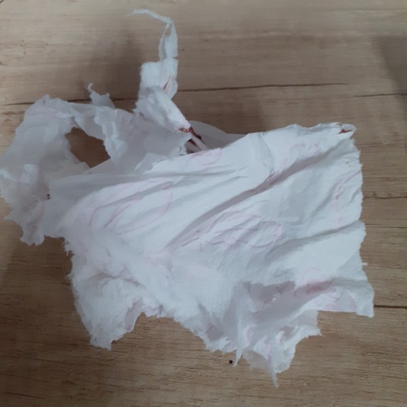 recycle4.me: original_20230616_184609.jpg