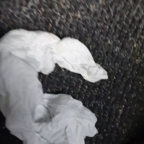recycle4.me: original_20230616_194508.jpg