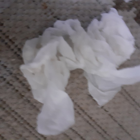 recycle4.me: original_20230621_142633.jpg