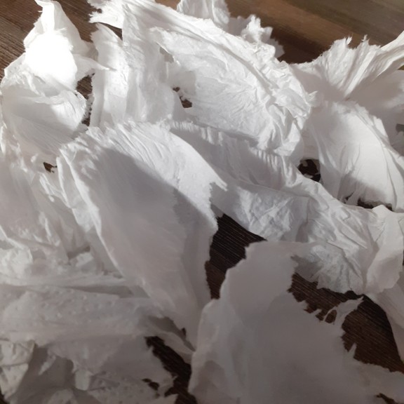 recycle4.me: original_20230616_213203.jpg
