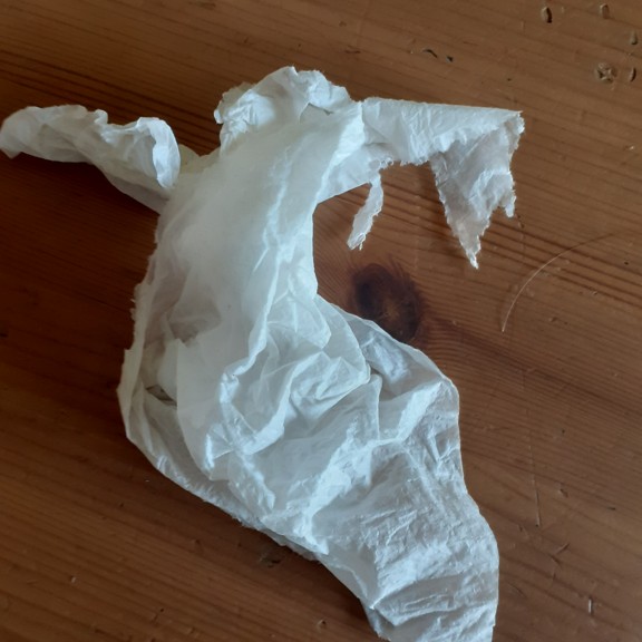 recycle4.me: original_20230621_142753.jpg