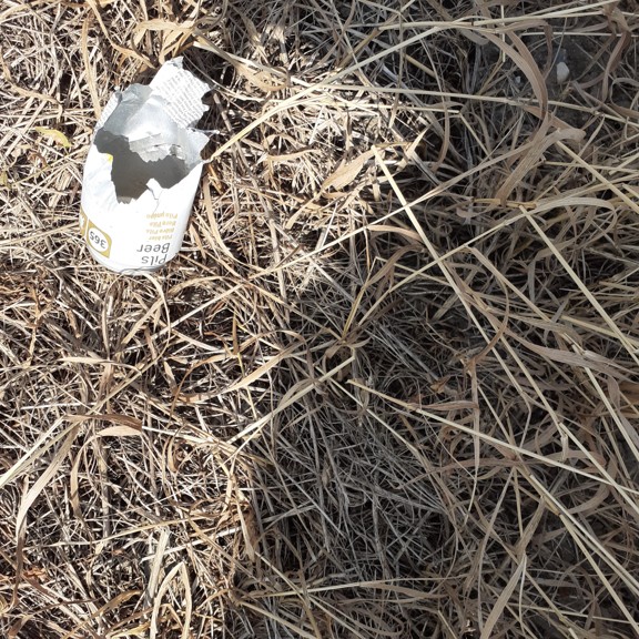 recycle4.me: original_20230704_163256.jpg