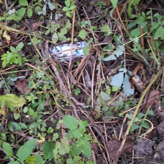 recycle4.me: original_20230803_205708.jpg