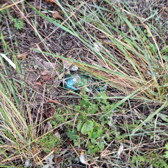 recycle4.me: original_20230803_203719.jpg