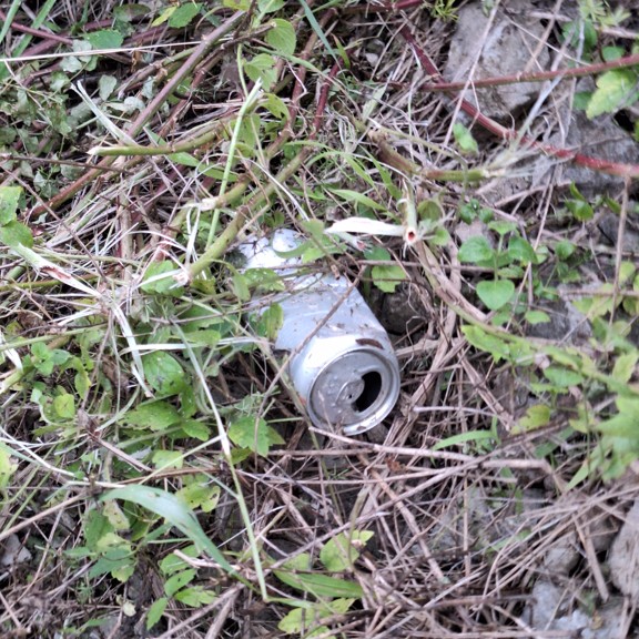 recycle4.me: original_20230803_204346.jpg
