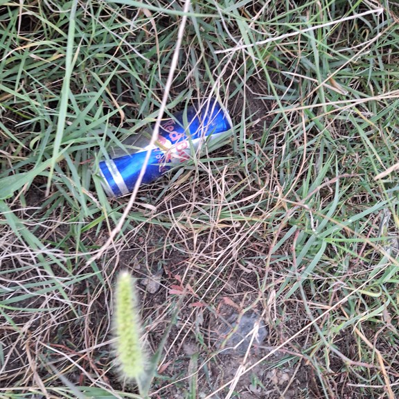 recycle4.me: original_20230801_205255.jpg