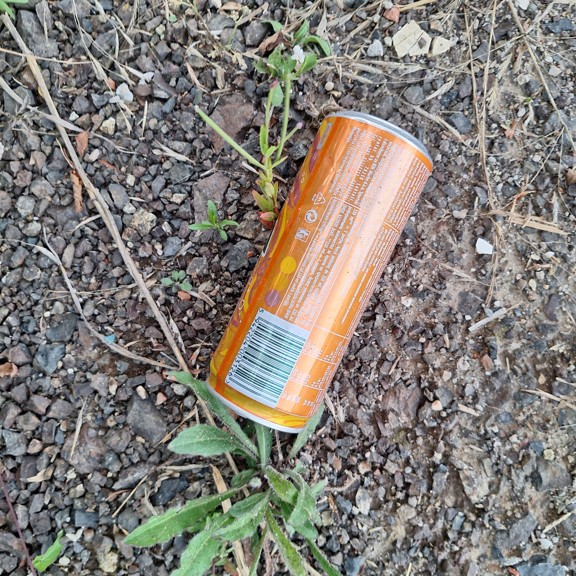 recycle4.me: original_20230807_202518.jpg