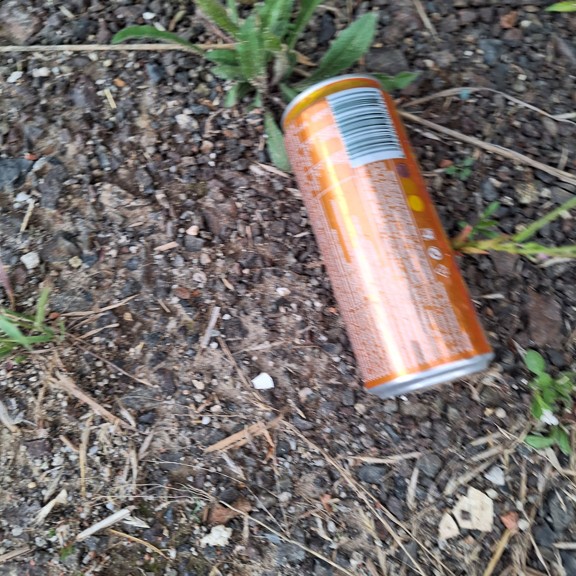 recycle4.me: original_20230807_202510.jpg