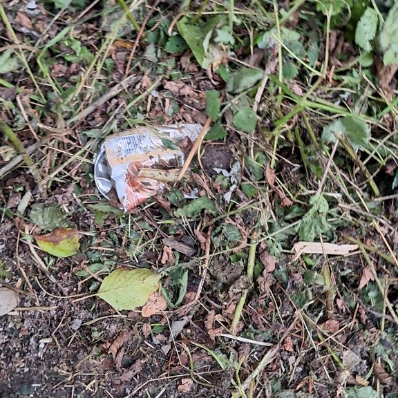 recycle4.me: original_20230803_204728.jpg