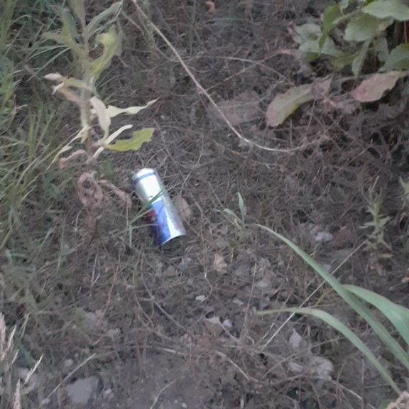 recycle4.me: original_20230711_214226.jpg