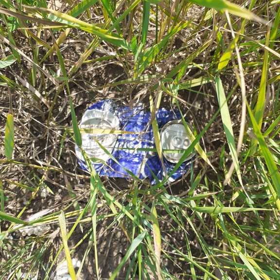 recycle4.me: original_20230704_162451.jpg