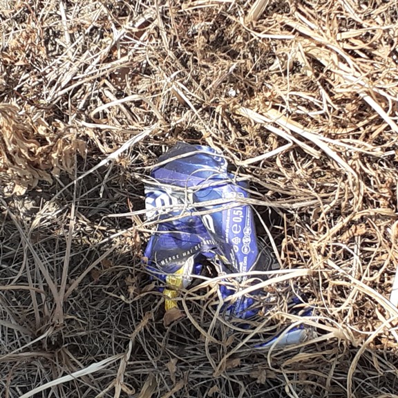 recycle4.me: original_20230704_163528.jpg