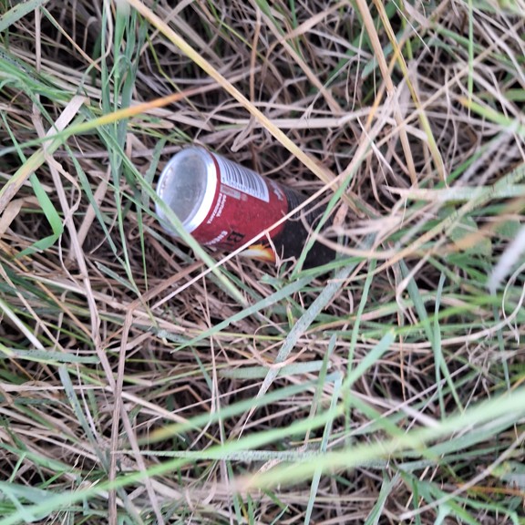 recycle4.me: original_20230801_205008.jpg