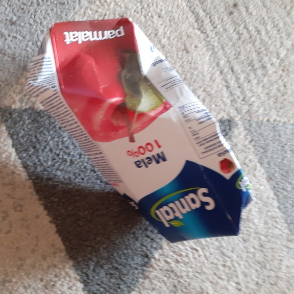 recycle4.me: original_20230623_181231.jpg
