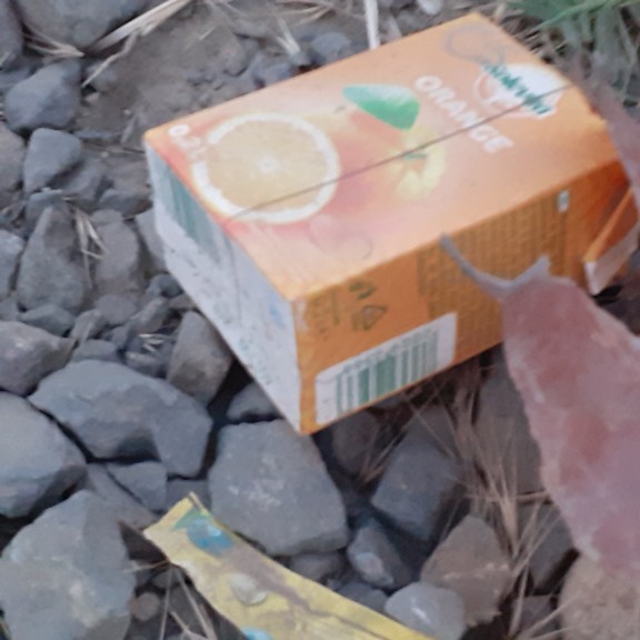 recycle4.me: original_20230711_213349.jpg