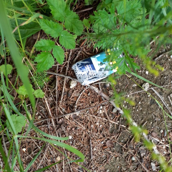 recycle4.me: original_20230707_132820.jpg