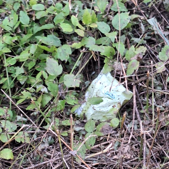 recycle4.me: original_20230803_204448.jpg