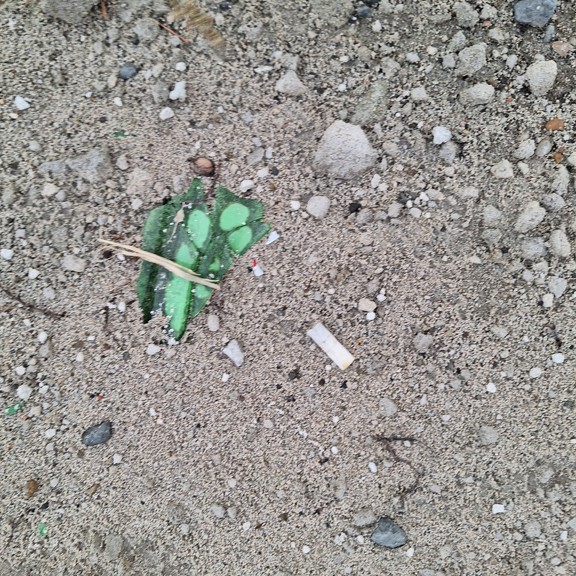 recycle4.me: original_20230807_202044.jpg