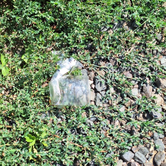 recycle4.me: original_20230822_125939.jpg