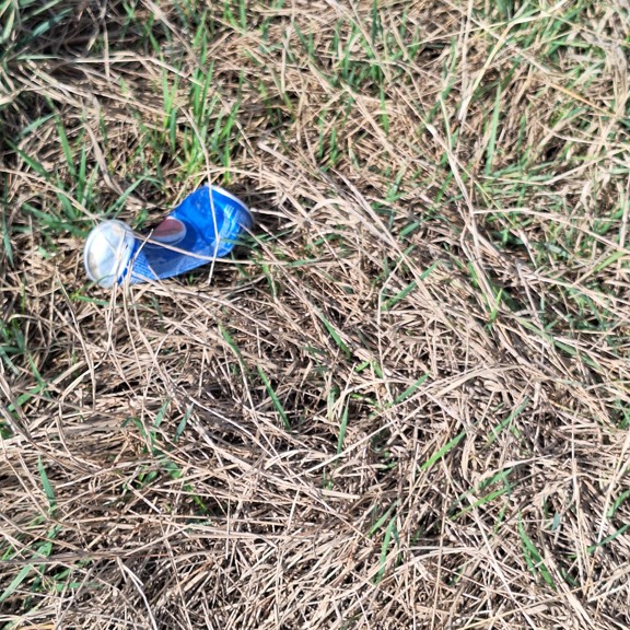 recycle4.me: original_20240225_121650.jpg