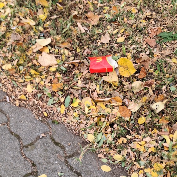 recycle4.me: original_20231020_143827.jpg