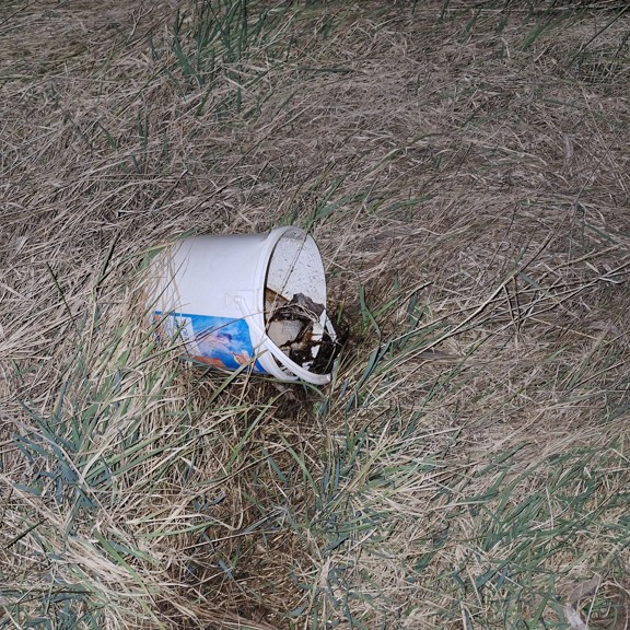 recycle4.me: original_20240222_201053.jpg