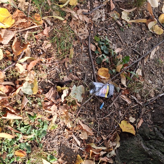 recycle4.me: original_20231020_144246.jpg