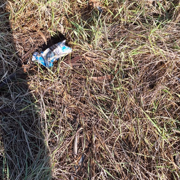 recycle4.me: original_20240127_122349.jpg