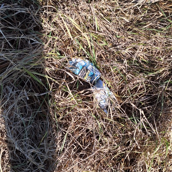 recycle4.me: original_20240127_122340.jpg