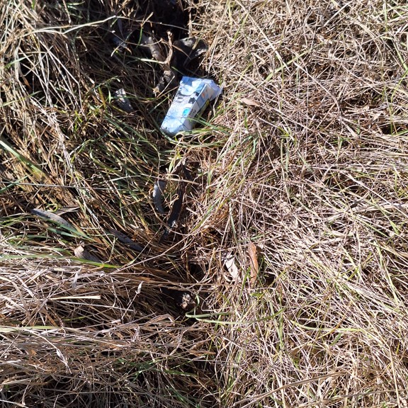 recycle4.me: original_20240127_122403.jpg
