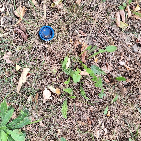 recycle4.me: original_20231020_141229.jpg