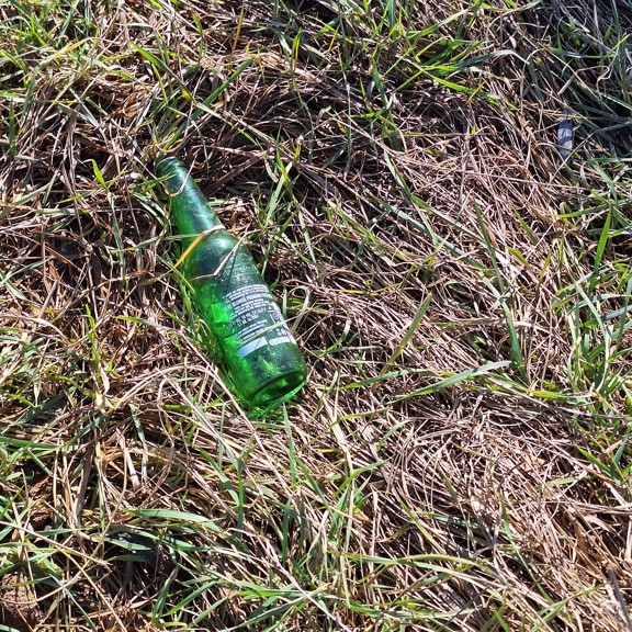 recycle4.me: original_20240127_122427.jpg