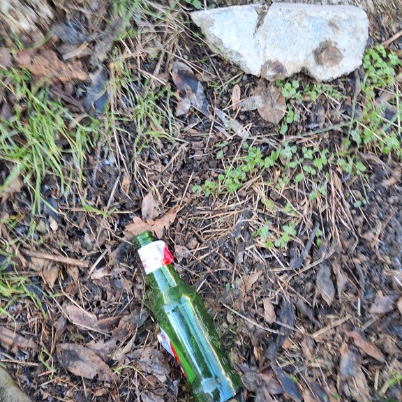 recycle4.me: original_20240122_140552.jpg