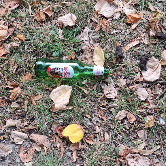recycle4.me: original_20231013_165246.jpg