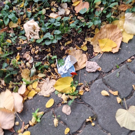recycle4.me: original_20231020_143848.jpg