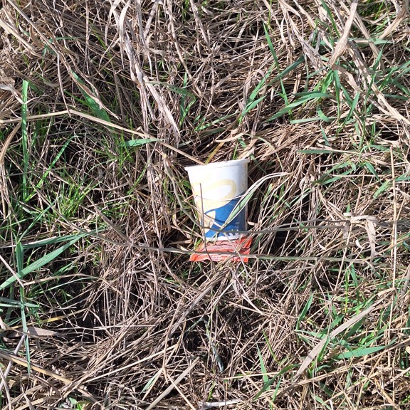recycle4.me: original_20240225_121420.jpg