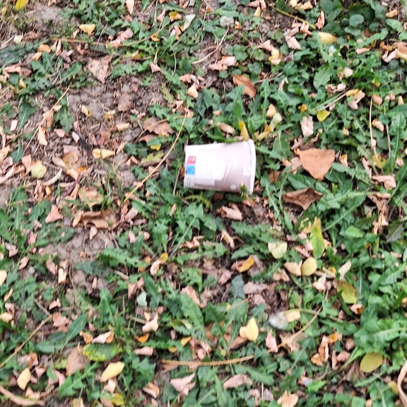 recycle4.me: original_20231020_140500.jpg
