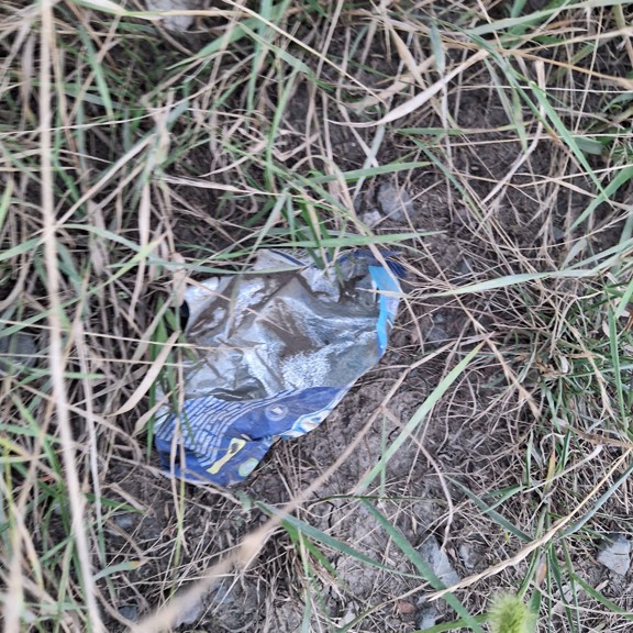 recycle4.me: original_20230801_205721.jpg