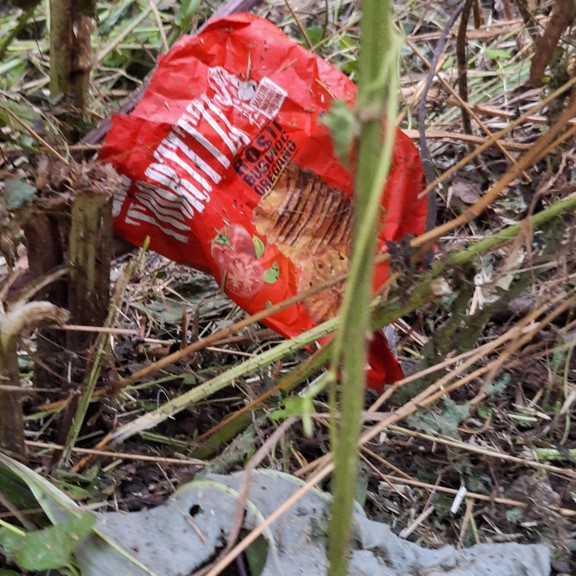 recycle4.me: original_20230803_204933.jpg