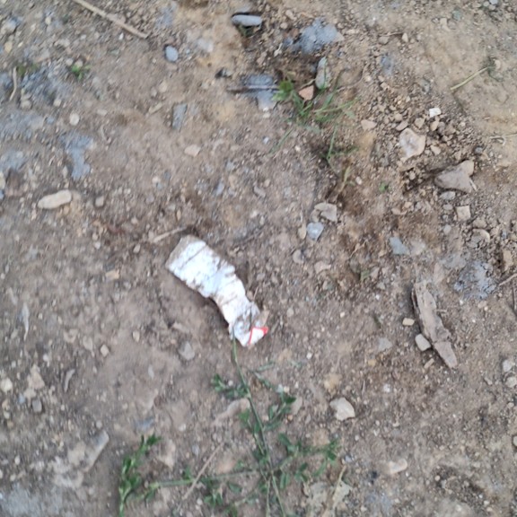 recycle4.me: original_20230803_205256.jpg
