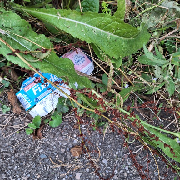 recycle4.me: original_20230803_203854.jpg