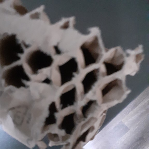 recycle4.me: original_20230702_174525.jpg
